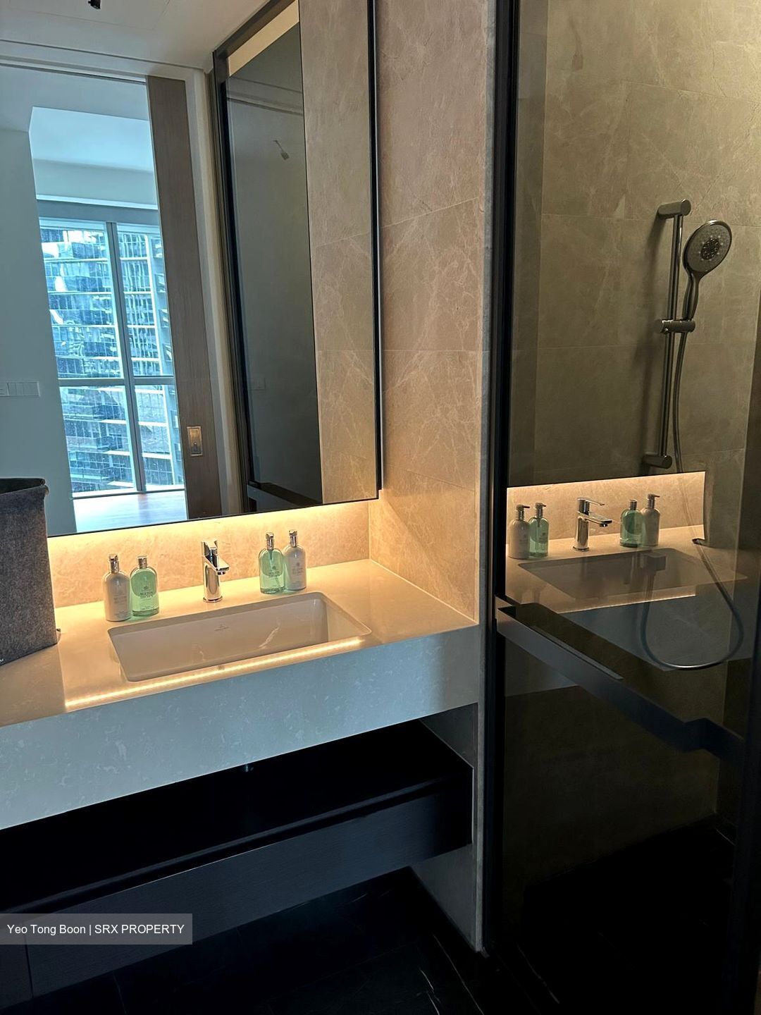 Amber Park (D15), Condominium #618862041
